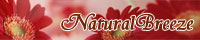 -Natural Breeze-